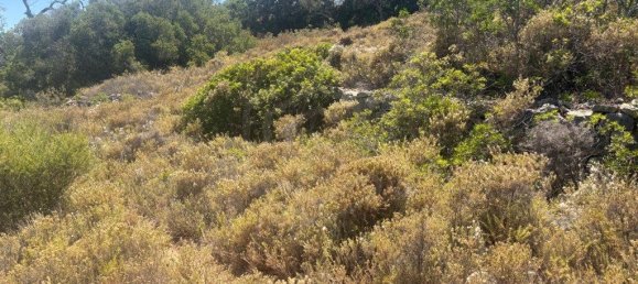 1900m² Land in Loule, Portugal No. 317029 6