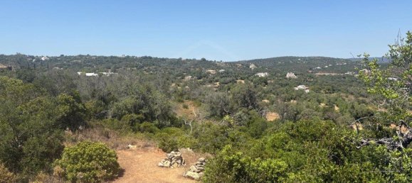 1900m² Land in Loule, Portugal No. 317029 7