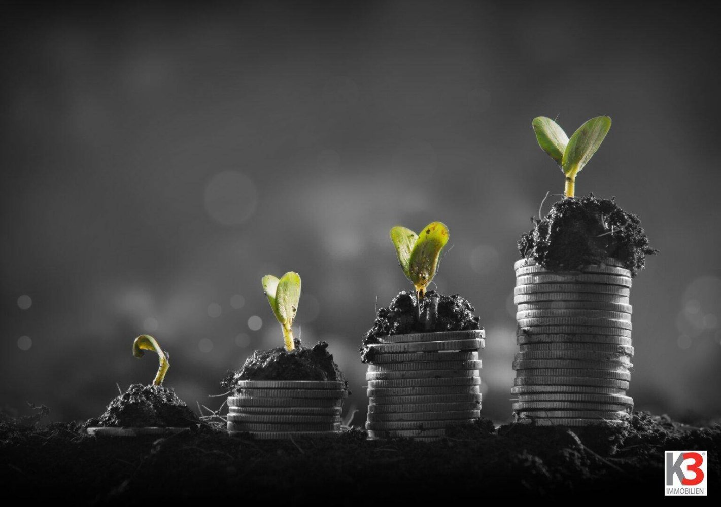  Office in Strasswalchen, Austria No. 15372