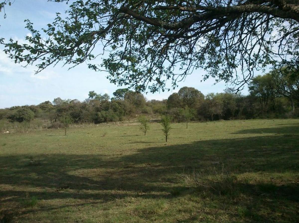 Terreno em Cordoba, Argentina N.º 38541