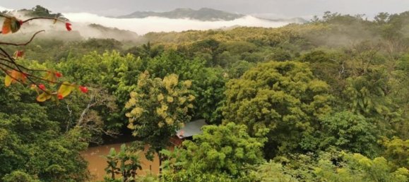 Земельный участок в Оханча, Коста-Рика № 1407 3