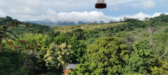 Земельный участок в Оханча, Коста-Рика № 1407 4