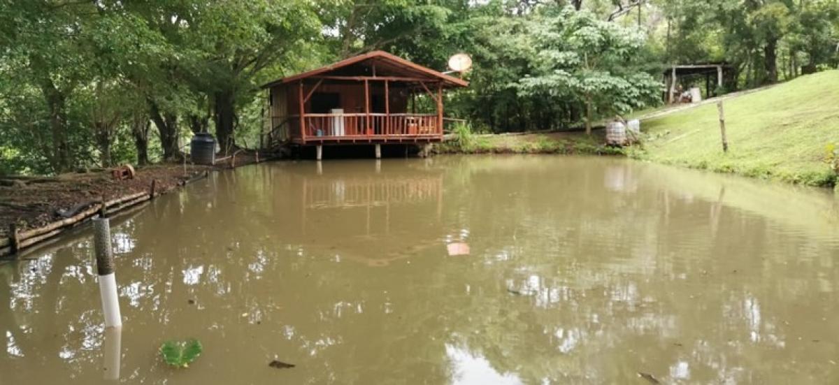 Земельный участок в Оханча, Коста-Рика № 1407