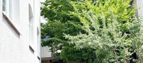 3-salle Duplex à Konstanz, Germany No. 350447 14