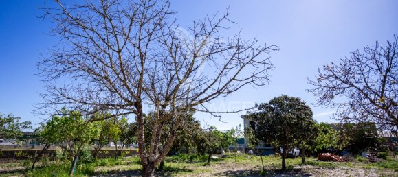 8 bedrooms House in Seixal, Portugal No. 88142 32