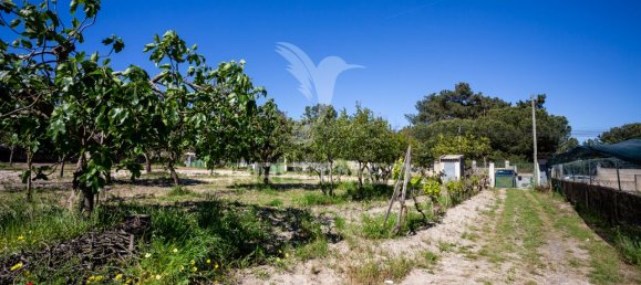 8 bedrooms House in Seixal, Portugal No. 88142 27