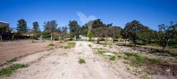 8 bedrooms House in Seixal, Portugal No. 88142 28