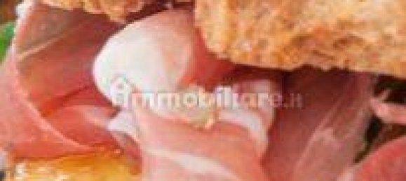 3-Zimmer Gewerbliche Immobilie in Fiorenzuola d'Arda, Italy, Nr. 223886 20