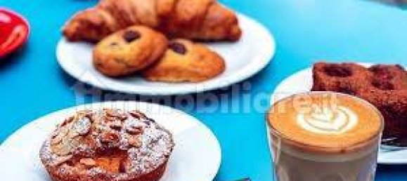 3-Zimmer Gewerbliche Immobilie in Fiorenzuola d'Arda, Italy, Nr. 223886 6