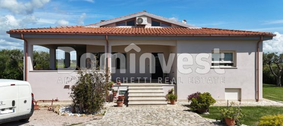 6-Zimmer Villa in Capalbio, Italy, Nr. 159363 31
