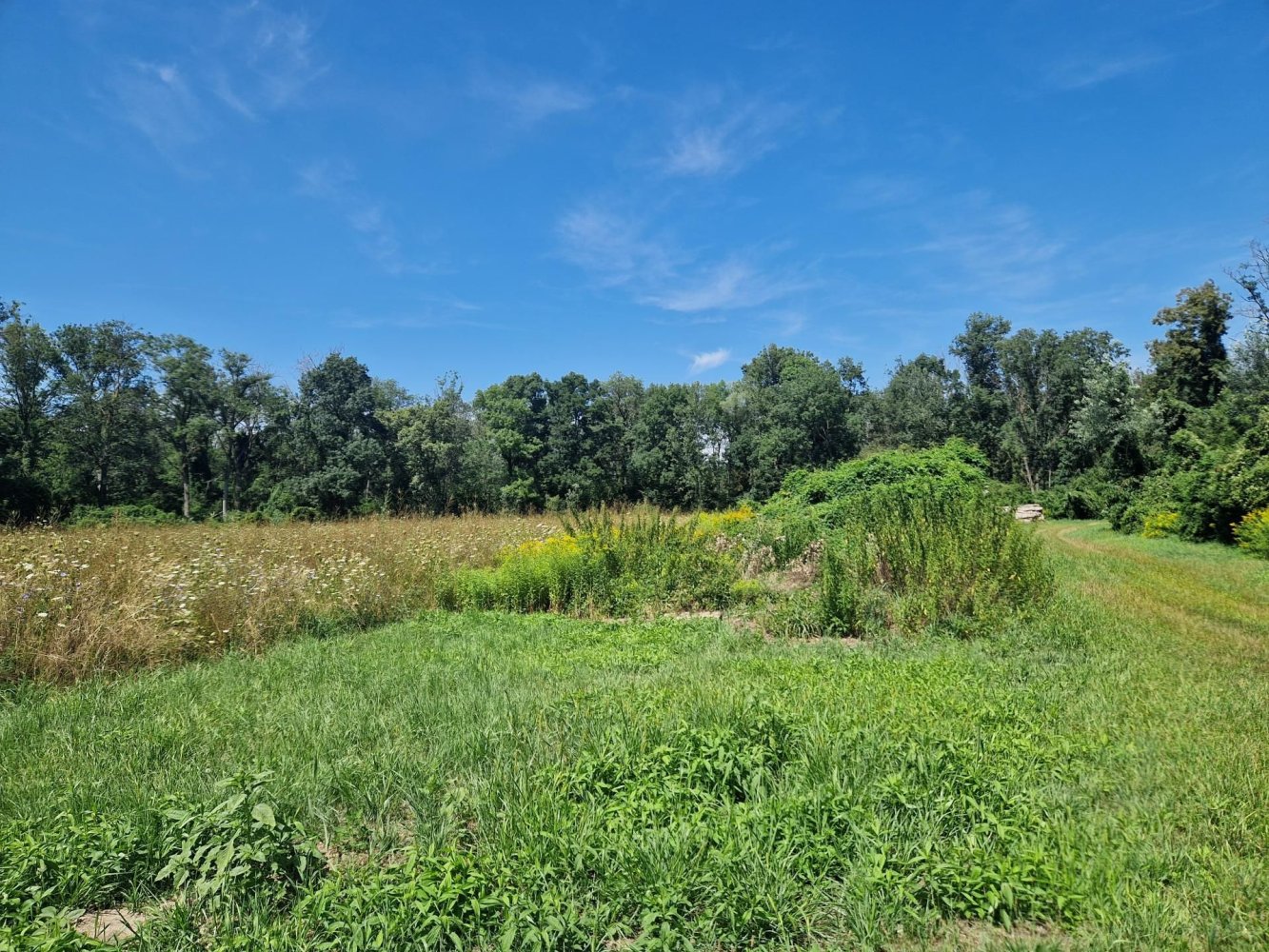  Land in Hausleiten, Austria No. 134154