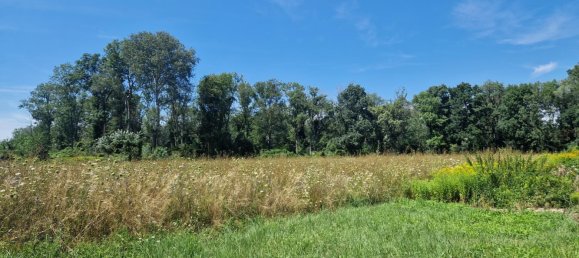  Land in Hausleiten, Austria No. 134154 2