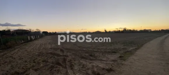 Terreno en Villanueva de la Serena, Spain 9500 m² No. 89016 4