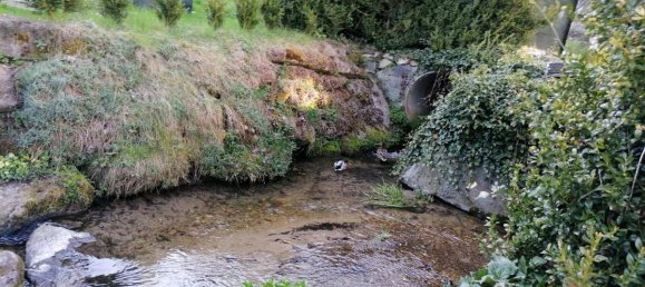 8 rooms House in Rohrbach, Austria No. 175972 23