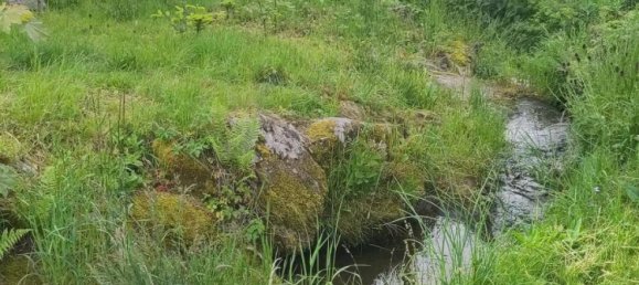 8 rooms House in Rohrbach, Austria No. 175972 24