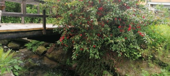 8 rooms House in Rohrbach, Austria No. 175972 22