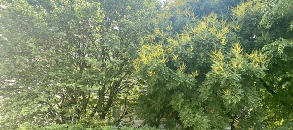 3 غرف نوم شقة في Les Lilas, France رقم 321750 3