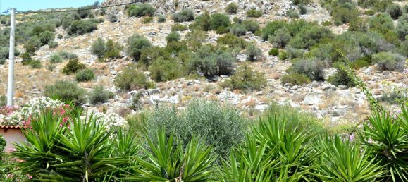 3 bedrooms Commercial property in Marathon, Greece No. 6690 6