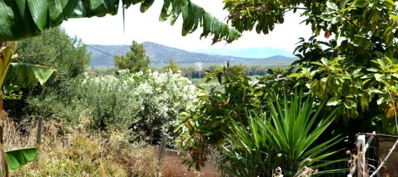 3 bedrooms Commercial property in Marathon, Greece No. 6690 3