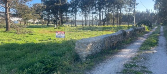  قطعة أرض في Nazare, Portugal رقم 34510 7