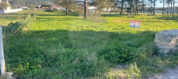  قطعة أرض في Nazare, Portugal رقم 34510 4