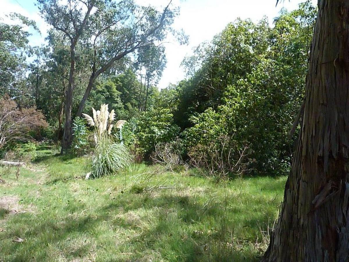  قطعة أرض في Maldonado, Uruguay رقم 15654