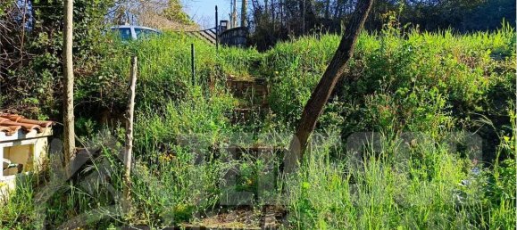 1600m² Land in San Nicola Manfredi, Italy No. 303301 4