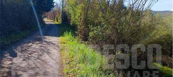 1600m² Land in San Nicola Manfredi, Italy No. 303301 12