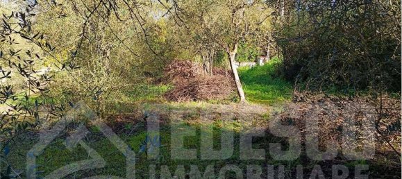 1600m² Land in San Nicola Manfredi, Italy No. 303301 10