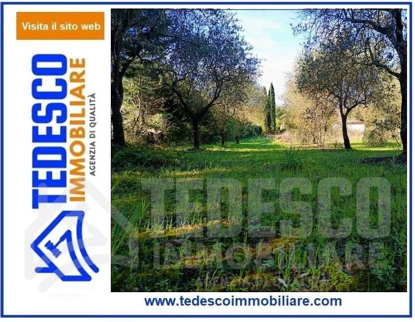 1600m² Land in San Nicola Manfredi, Italy No. 303301
