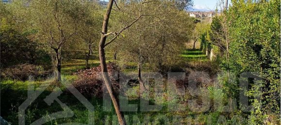 1600m² Land in San Nicola Manfredi, Italy No. 303301 14