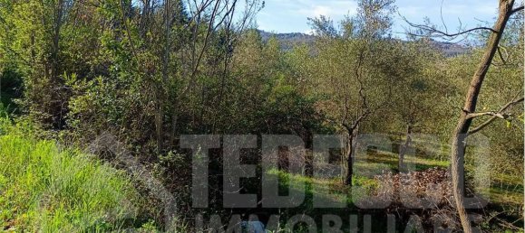 1600m² Land in San Nicola Manfredi, Italy No. 303301 13