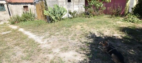 4غرفة منزل في San Giuliano Terme, Italy رقم 90477 27