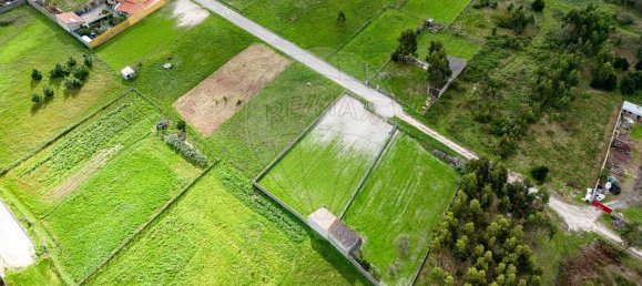 1072m² Land in Vieira de Leiria, Portugal No. 175571 9