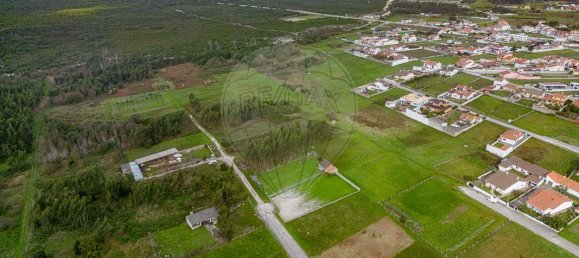 1072m² Land in Vieira de Leiria, Portugal No. 175571 16