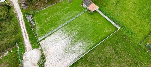 1072m² Land in Vieira de Leiria, Portugal No. 175571 10