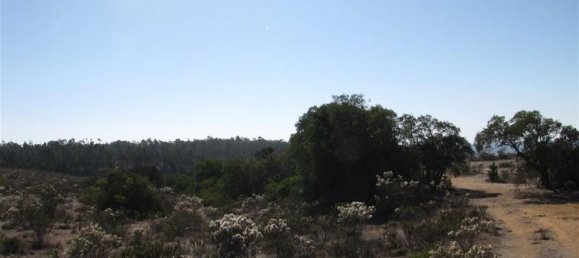 Terreno en Valparaíso, Chile No. 844 2