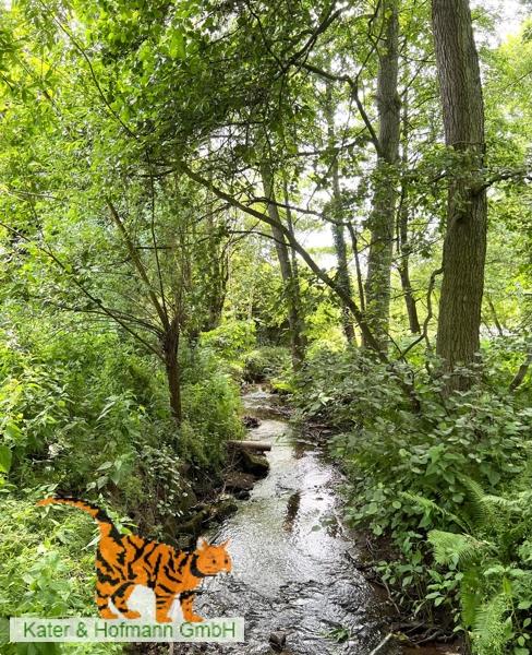 3 bedrooms House in Lippe, Germany No. 227931