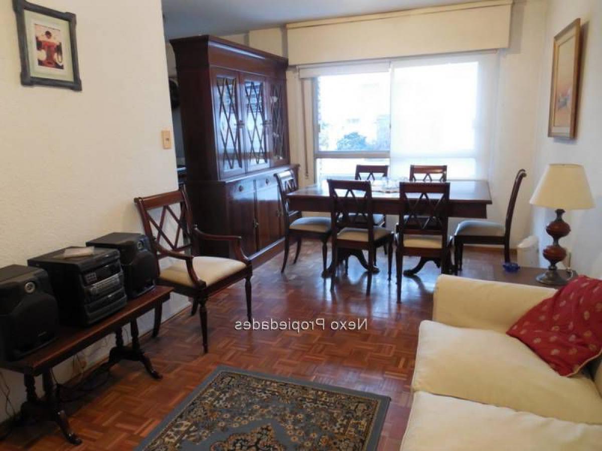 Studio in Montevideo, Uruguay, Nr. 8365