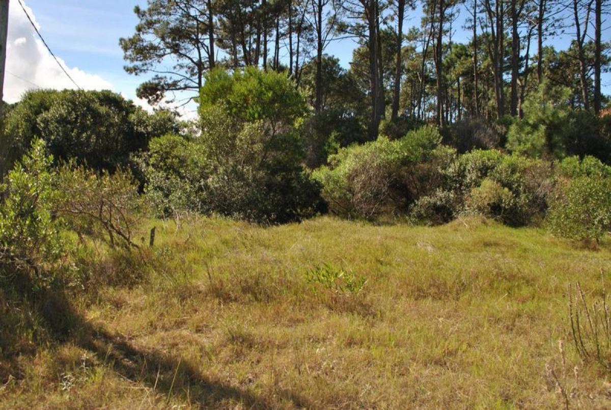 Земельный участок в Мальдонадо, Уругвай № 15274