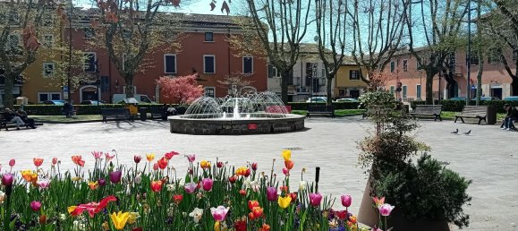 2 rooms Apartment in Desenzano del Garda, Italy No. 261203 12