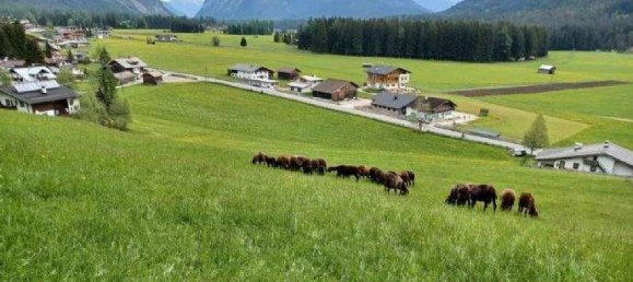 5 rooms Apartment in Leutasch, Austria No. 103665 16