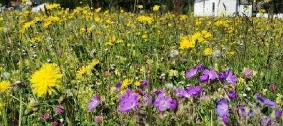 5 rooms Apartment in Leutasch, Austria No. 103665 17