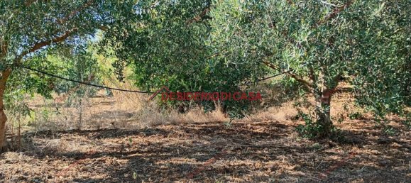 4 rooms House in Partinico, Italy No. 324900 7