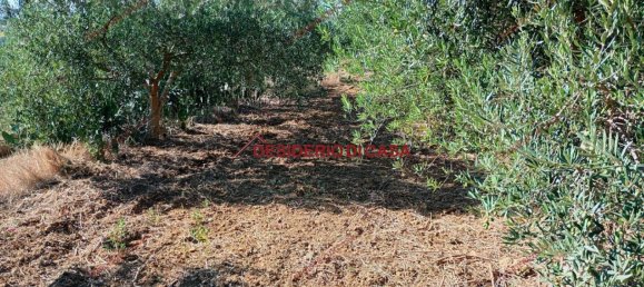 Дом с 4 комнатами в Партинико, Италия № 324900 17