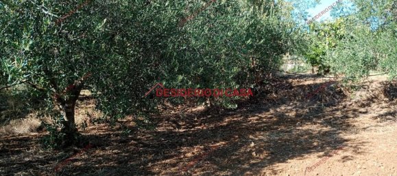 4 rooms House in Partinico, Italy No. 324900 6