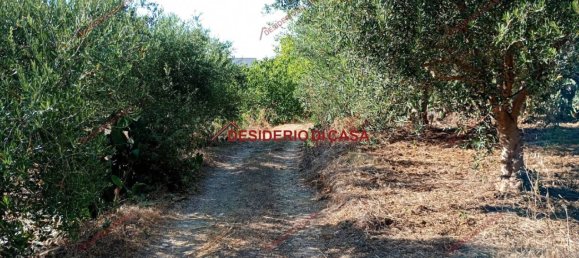 Дом с 4 комнатами в Партинико, Италия № 324900 18