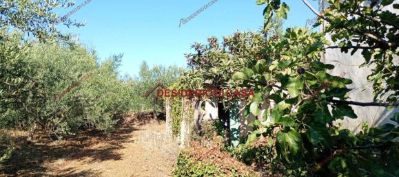 4 rooms House in Partinico, Italy No. 324900 12