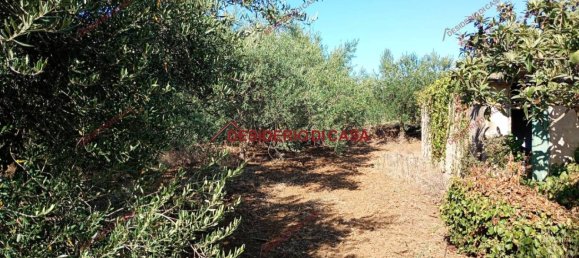 4 rooms House in Partinico, Italy No. 324900 13