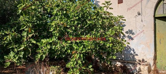 4 rooms House in Partinico, Italy No. 324900 3